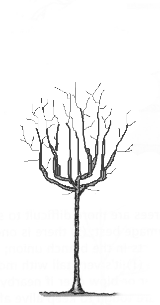 bad structure tree2