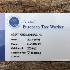 Renewal of the European Tree Worker certification